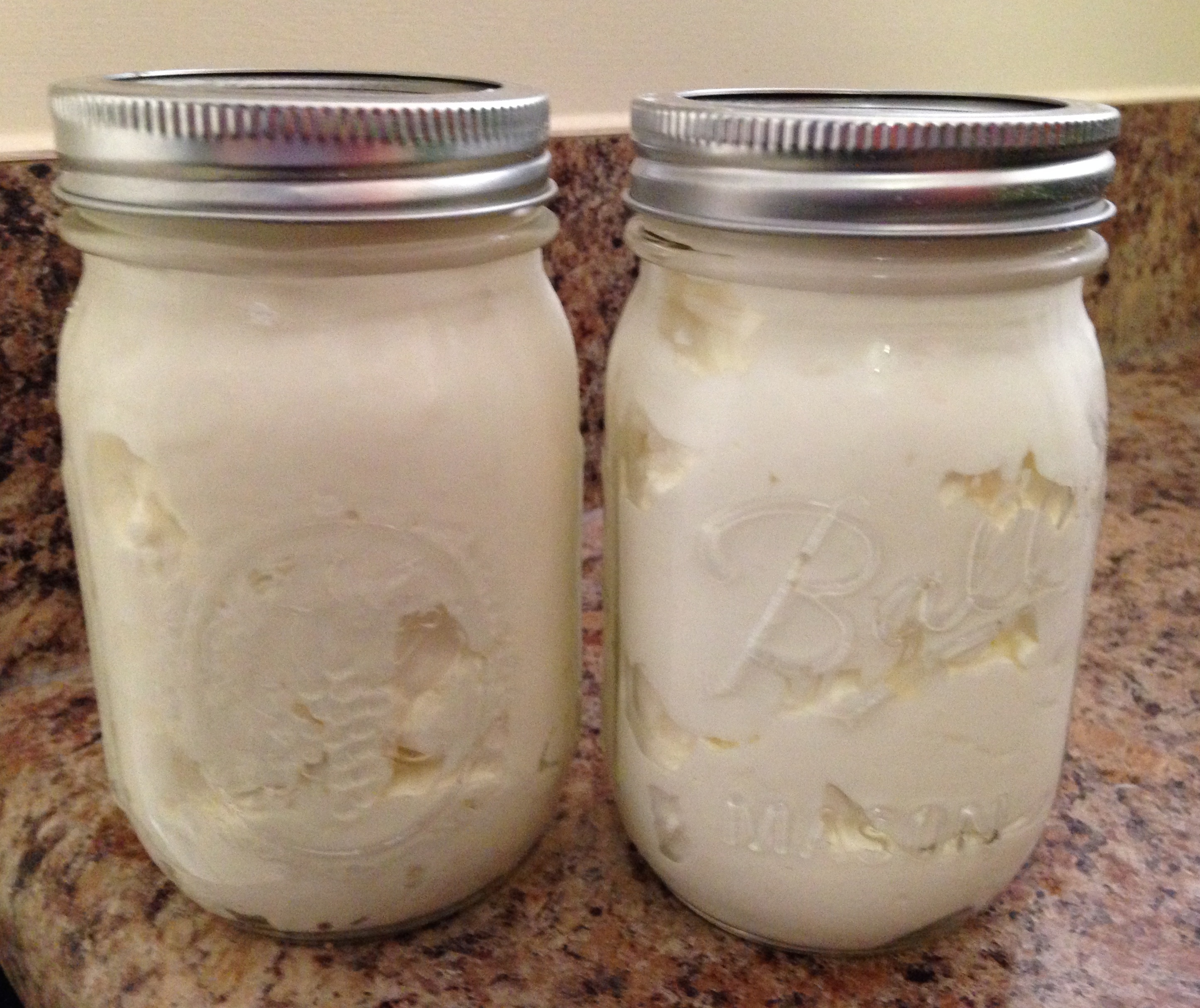 Homemade Greek Yogurt Recipe Quick Delicious Cheap How To Make 